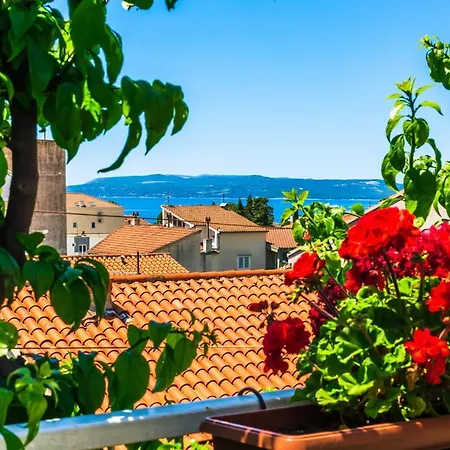 Mateljak * Makarska
